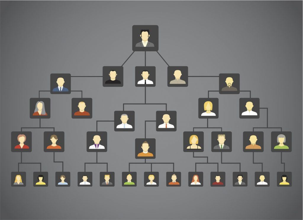 Popular genealogy websites